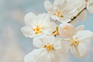 「もう大丈夫」マタイによる福音書5:21～37